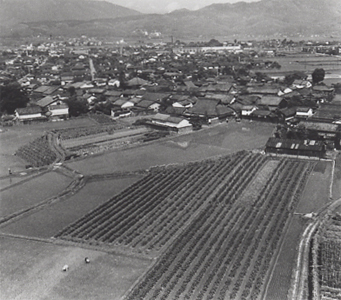 昭和30年代の下桂風景